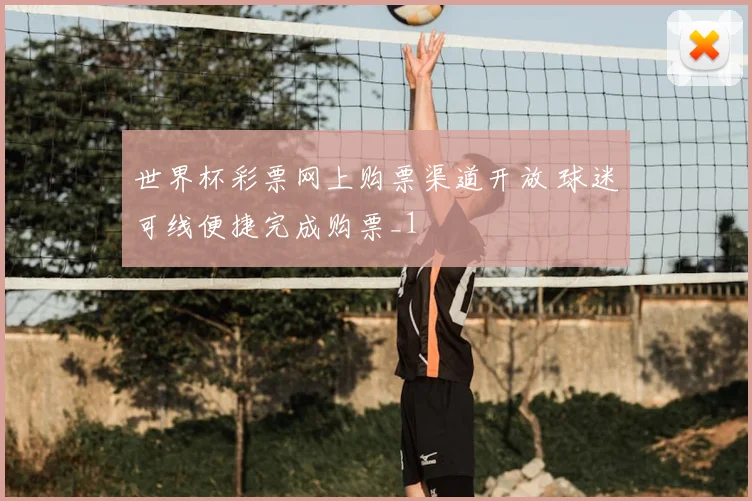 世界杯彩票网上购票渠道开放 球迷可线便捷完成购票_1