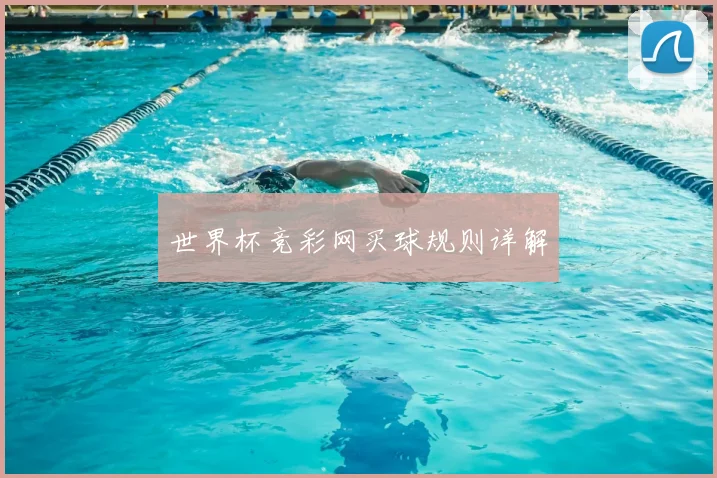 世界杯竞彩网买球规则详解
